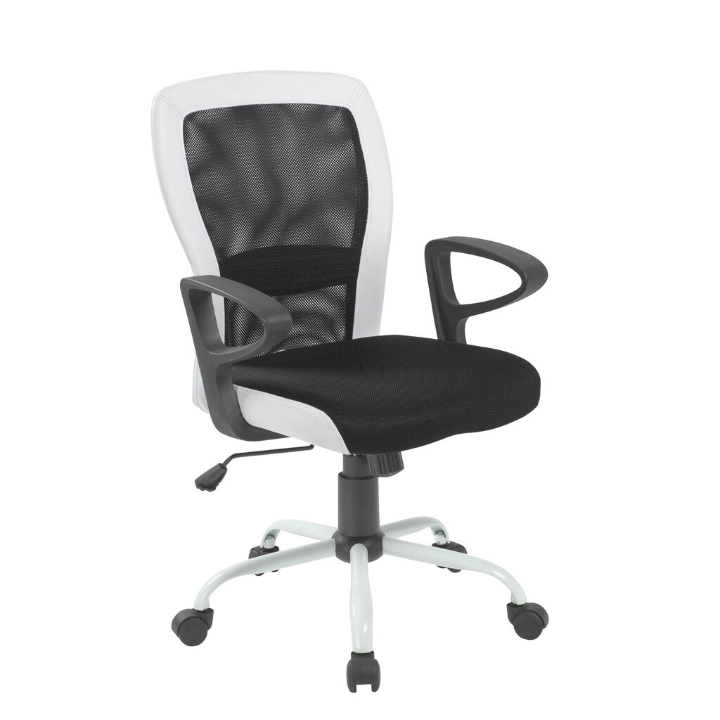 Biuro kėdė Leno, juoda/balta цена и информация | Biuro kėdės | pigu.lt