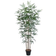 Bambukas vazone kaina ir informacija | Dirbtinės gėlės | pigu.lt