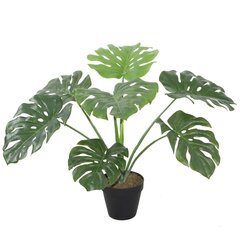 Dirbtinis augalas Monstera, 60 cm kaina ir informacija | Dirbtinės gėlės | pigu.lt