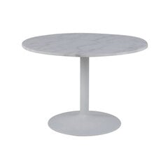 Обеденный стол Tarifa, белый/серый цена и информация | Кухонные и обеденные столы | pigu.lt