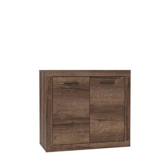 Шкафчик Trass TRAK221, коричневый цена и информация | Шкафчики в гостиную | pigu.lt