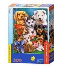 Пазл Puppies, Castorland, 300 шт. цена и информация | Пазлы | pigu.lt