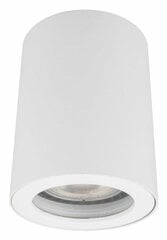 Light Prestige подвесная лампа FARO цена и информация | Потолочные светильники | pigu.lt