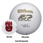 Mini tinklinio kamuolys Wilson Castaway цена и информация | Tinklinio kamuoliai | pigu.lt