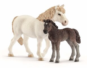 Figūrėlių rinkinys Poniai Mare ir Foal Schleich kaina ir informacija | Žaislai berniukams | pigu.lt