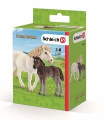 Figūrėlių rinkinys Poniai Mare ir Foal Schleich kaina ir informacija | Žaislai berniukams | pigu.lt