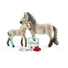 SCHLEICH HORSE CLUB Набор Ханны Для Оказания Первой Медицинской Помощи цена и информация | Игрушки для мальчиков | pigu.lt