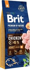 Brit Premium by Nature для собак средних пород с курицей, 8 кг цена и информация |  Сухой корм для собак | pigu.lt