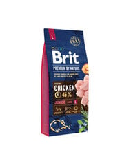 Brit Premium by Nature Junior L полноценный корм для собак 15кг цена и информация | Сухой корм для собак | pigu.lt