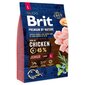 BRIT Premium By Nature Junior Large L, 15 kg цена и информация | Sausas maistas šunims | pigu.lt