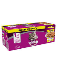 Whiskas konservuoto maisto katėms rinkinys, 40x85 g kaina ir informacija | Konservai katėms | pigu.lt