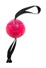 Amibelle маленький мяч с силиконовым наполнителем для собак, розовый 9 см цена и информация | Игрушки для собак | pigu.lt