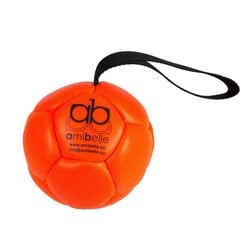 Amibelle pripučiamas kamuolys šunims, oranžinis 10 cm kaina ir informacija | Žaislai šunims | pigu.lt