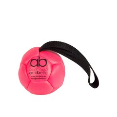 Amibelle маленький мяч с силиконовым наполнителем для собак, розовый 9 см цена и информация | Игрушки для собак | pigu.lt
