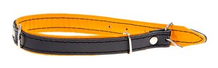 Oшейник Amibelle XL, черный с оранжевым цена и информация | Ошейники, подтяжки для собак | pigu.lt
