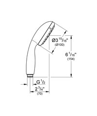 GROHE Tempesta 100 ручной душ 2759710E цена и информация | Аксессуары для душа, смесителей | pigu.lt