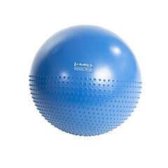 Гимнастический мяч с насосом HMS YB03, 55 см, синий цена и информация | Гимнастические мячи | pigu.lt