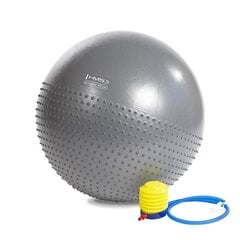 Гимнастический мяч с насосом HMS YB03, 65 см, серый цена и информация | Гимнастические мячи | pigu.lt