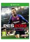 Žaidimas PES Pro Evolution Soccer 2019, Xbox One kaina ir informacija | Kompiuteriniai žaidimai | pigu.lt