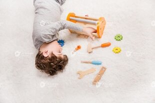 Набор деревянных инструментов в ящике Classic World цена и информация | Развивающие игрушки | pigu.lt