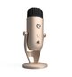 Mikrofonas Arozzi цена и информация | Mikrofonai | pigu.lt