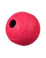 Barry King kamuoliukas su vieta skanukams, M, raudonas kaina ir informacija | Žaislai šunims | pigu.lt