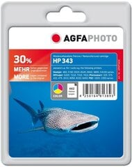 AgfaPhoto APHP343C цена и информация | Картриджи для струйных принтеров | pigu.lt
