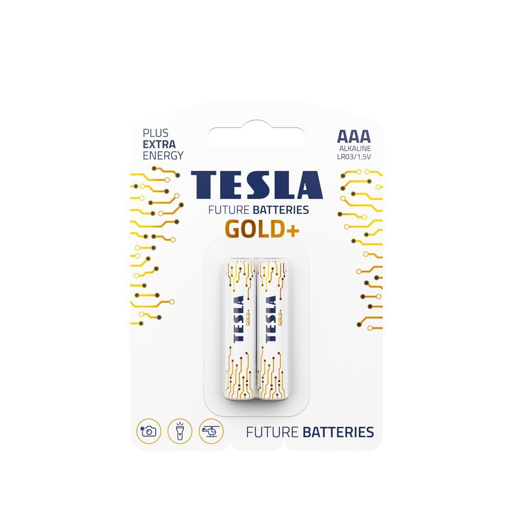 Tesla Gold Plus kaina ir informacija | Akumuliatoriai fotoaparatams | pigu.lt