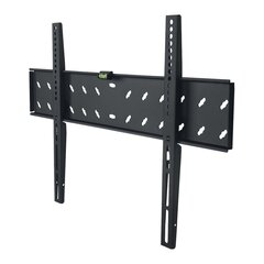 Stationary Slim TV Mount Stell SHO2021 цена и информация | Кронштейны и крепления для телевизоров | pigu.lt