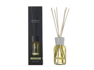 Kvapiosios lazdelės Millefiori Natural Fragrance Lemon Grass 250 ml kaina ir informacija | Namų kvapai | pigu.lt