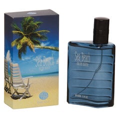 Tualetinis vanduo Real Time Sea Beach EDT vyrams 100 ml kaina ir informacija | Kvepalai vyrams | pigu.lt