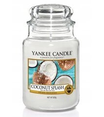 Žvakė Yankee Candle kaina ir informacija | Žvakės, Žvakidės | pigu.lt