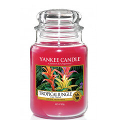 Ароматическая свеча Yankee Candle Large Jar Tropical Jungle 623 г цена и информация | Подсвечники, свечи | pigu.lt