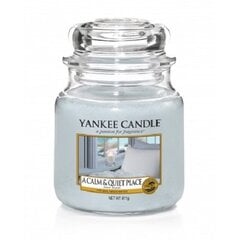 Ароматическая свеча Yankee Candle A Calm Quiet place 411 г цена и информация | Подсвечники, свечи | pigu.lt