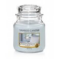 Yankee Candle kvapioji žvakė A Calm Queit place 411 g