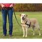 Petnešos šuniui Trixie Lead Walk Soft, L-XL, 65-105cm kaina ir informacija | Antkakliai, petnešos šunims | pigu.lt