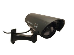 Stebėjimo kamera CEE IR1100B kaina ir informacija | Stebėjimo kameros | pigu.lt