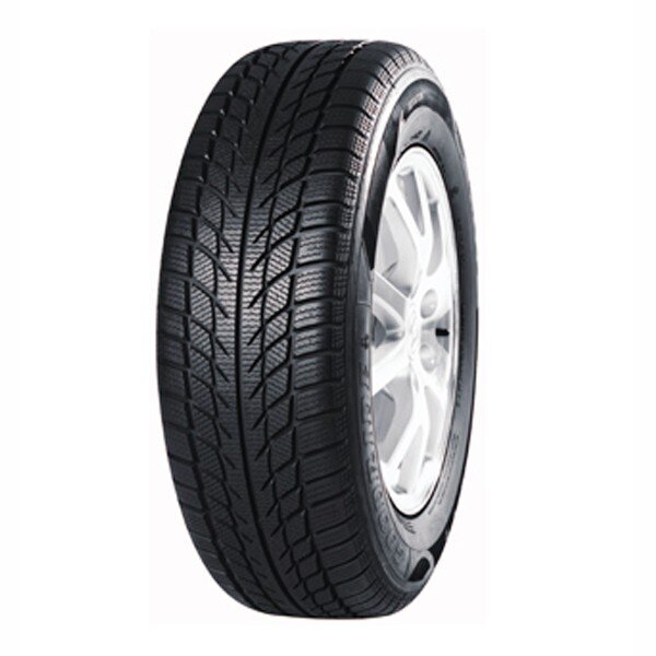 Goodride SW608 195/70R14 T 91 kaina ir informacija | Žieminės padangos | pigu.lt