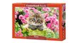 Dėlionė Castorland Puzzle Kitten in Flower Garden, 500 d. цена и информация | Dėlionės (puzzle) | pigu.lt