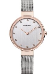 Женские часы Bering 12034064 цена и информация | Женские часы | pigu.lt