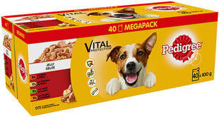 Pedigree konservų šunims rinkinys Vital Protection, 4 kg kaina ir informacija | Konservai šunims | pigu.lt
