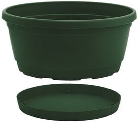 Nicoli вазон с тарелкой Rumba 22, зеленый цена и информация | Горшки | pigu.lt