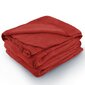 AmeliaHome mikrofibros pledas Tylet Red, 220x240 cm kaina ir informacija | Lovatiesės ir pledai | pigu.lt