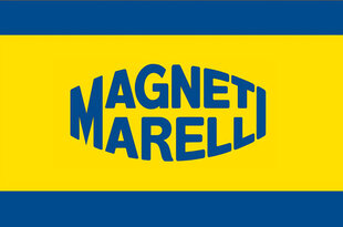 Automobilinė ksenon lemputė MAGNETI MARELLI D2R 4600k kaina ir informacija | Magneti Marelli DRL Autoprekės | pigu.lt