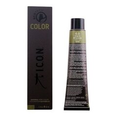 Ilgalaikiai plaukų dažai I.C.O.N. Ecotech Color, 60 ml kaina ir informacija | ICON Plaukų priežiūrai | pigu.lt