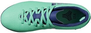 Футбольные бутсы для мальчиков Adidas X Tango 17.4 TF  J Aero Green цена и информация | Футбольные бутсы | pigu.lt