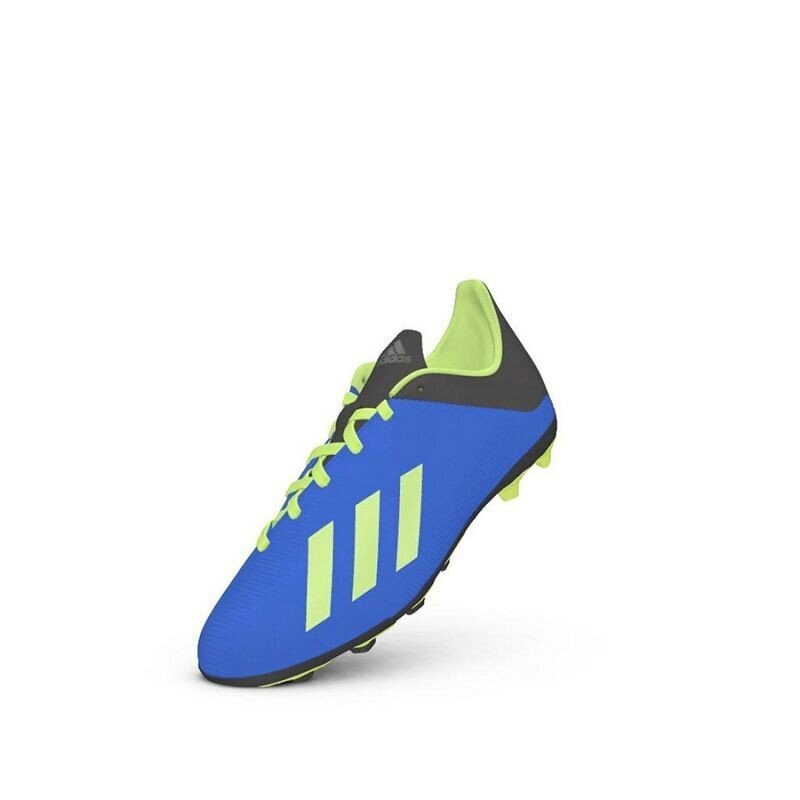 Futbolo bateliai vyrams, Adidas X 18.4 FxG Jr DB2419 mėlyna kaina ir informacija | Futbolo bateliai | pigu.lt