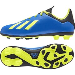 Futbolo bateliai vyrams, Adidas X 18.4 FxG Jr DB2419 mėlyna kaina ir informacija | Futbolo bateliai | pigu.lt