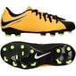 Futbolo bateliai Nike Hypervenom Phelon III FG JR 852595 801(43960) kaina ir informacija | Futbolo bateliai | pigu.lt