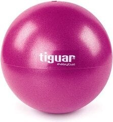 Гимнастический мяч Tiguar Easy Ball, 25cm цена и информация | Гимнастические мячи | pigu.lt